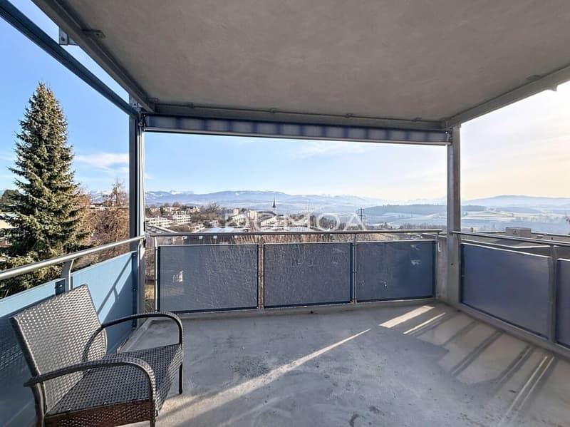 Appartement 4,5 pièces 115 m2 spacieux et lumineux ! (3)