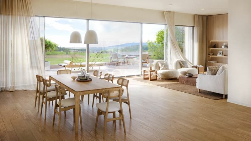 Superb new 4.5-room attic apartment (3)