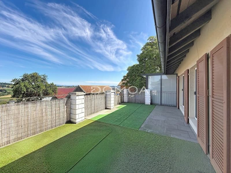 Charming 3.5-room apartment with large terrace (10)