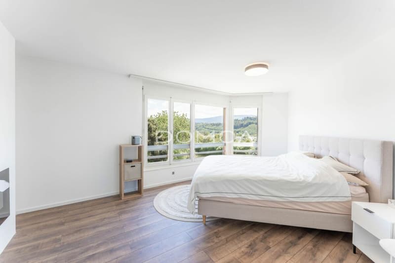 Mansarda 4,5 locali ristrutturata con grande terrazza - Luminosità, fascino e comfort! (7)