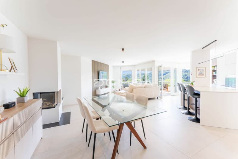 Mansarda 4,5 locali ristrutturata con grande terrazza - Luminosità, fascino e comfort! (4)