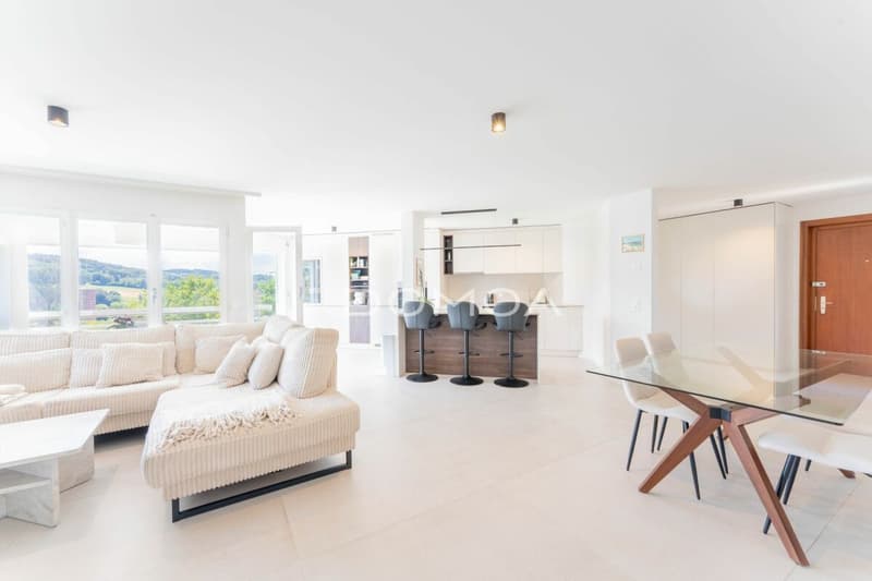 Mansarda 4,5 locali ristrutturata con grande terrazza - Luminosità, fascino e comfort! (2)