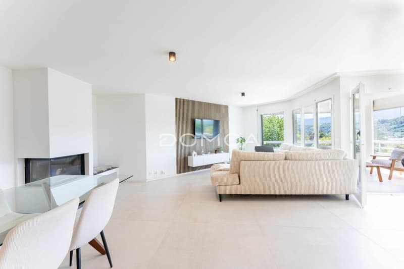 Mansarda 4,5 locali ristrutturata con grande terrazza - Luminosità, fascino e comfort! (5)