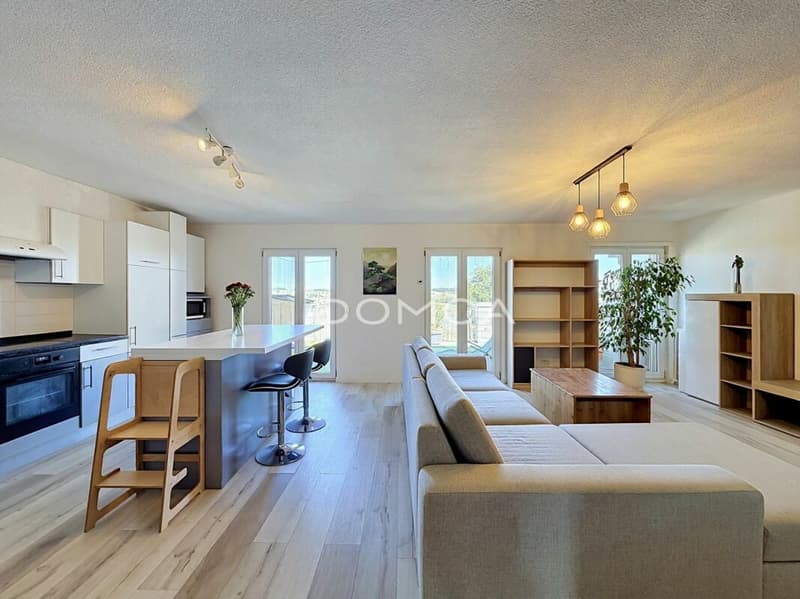 Charmant appartement de 3,5 pièces avec grande terrasse (2)