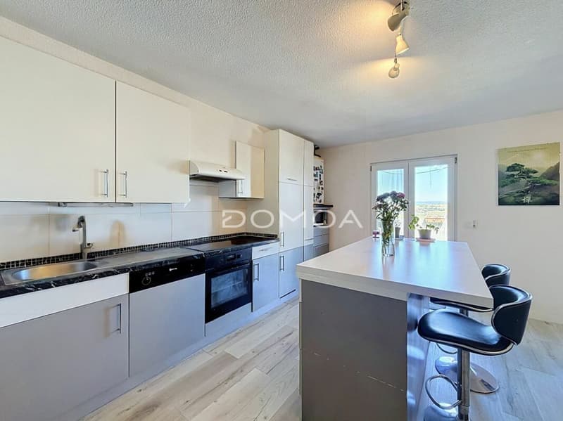 Charmant appartement de 3,5 pièces avec grande terrasse (3)