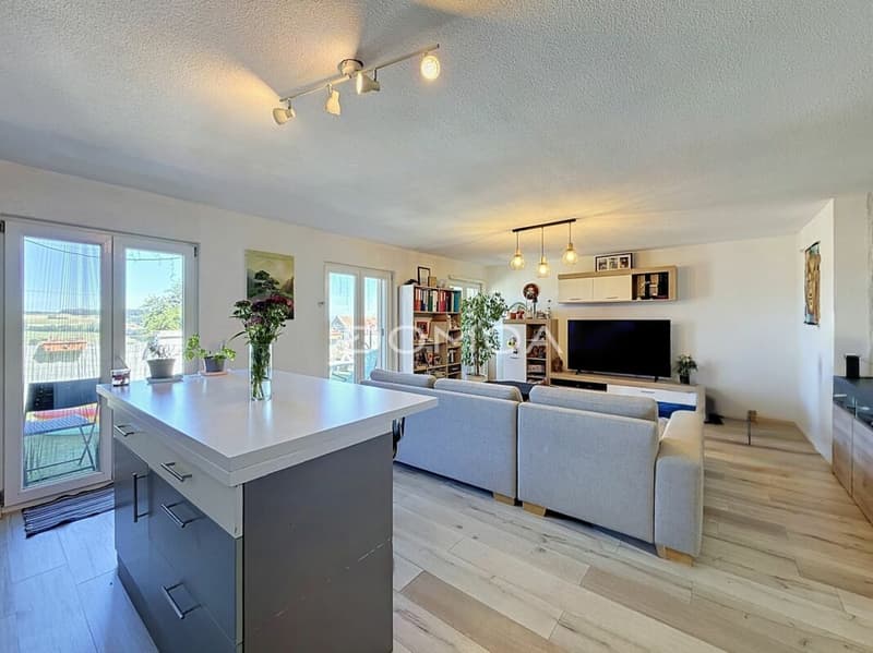 Charmant appartement de 3,5 pièces avec grande terrasse (1)