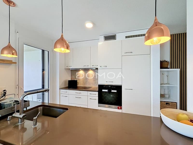 Beautiful 4.5-room apartment with large terrace (3)