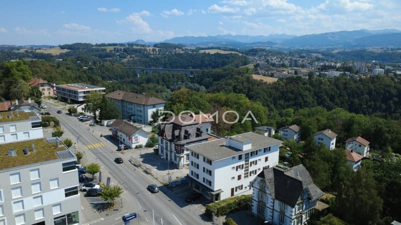 Superbe appartement de 3,5 pièces entièrement rénové (13)