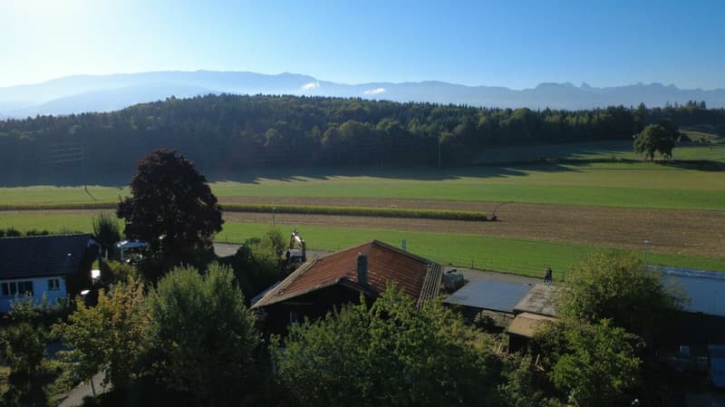 Superbes appartements neufs de 5,5 pièces (6)