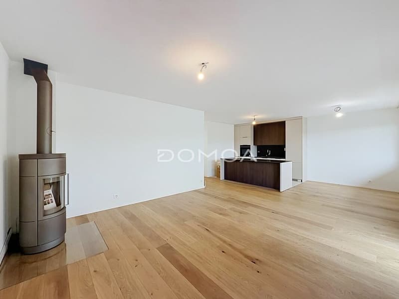 Appartement 3,5 pièces rénové, lumineux avec balcon et piscine (2)