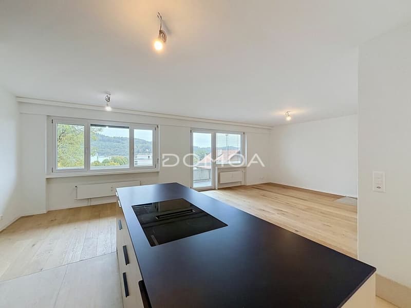 Appartement 3,5 pièces rénové, lumineux avec balcon et piscine (3)