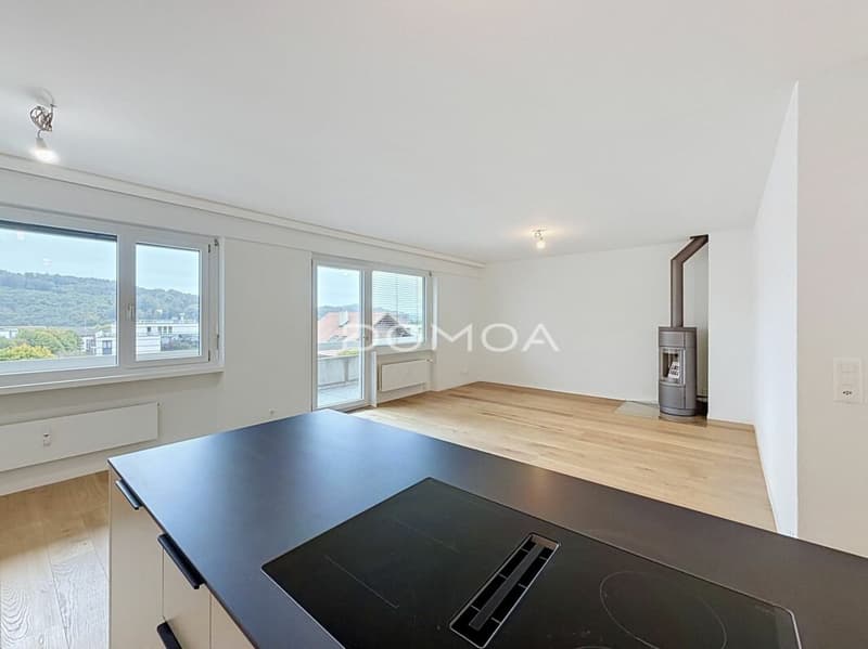 Appartement 3,5 pièces rénové, lumineux avec balcon et piscine (4)
