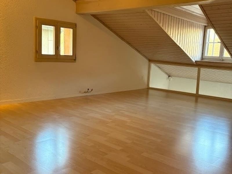 Wunderschöne Triplex-Wohnung in der Altstadt von Freiburg (9)