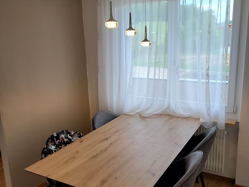 2.5 Zimmerwohnung in Schmitten (3)