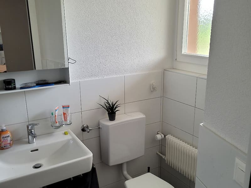 2.5 Zimmerwohnung in Schmitten (4)