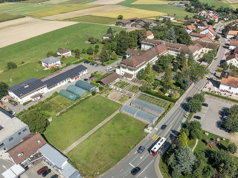 Diverse superfici di ufficio da 16m2 a 100m2 (1)