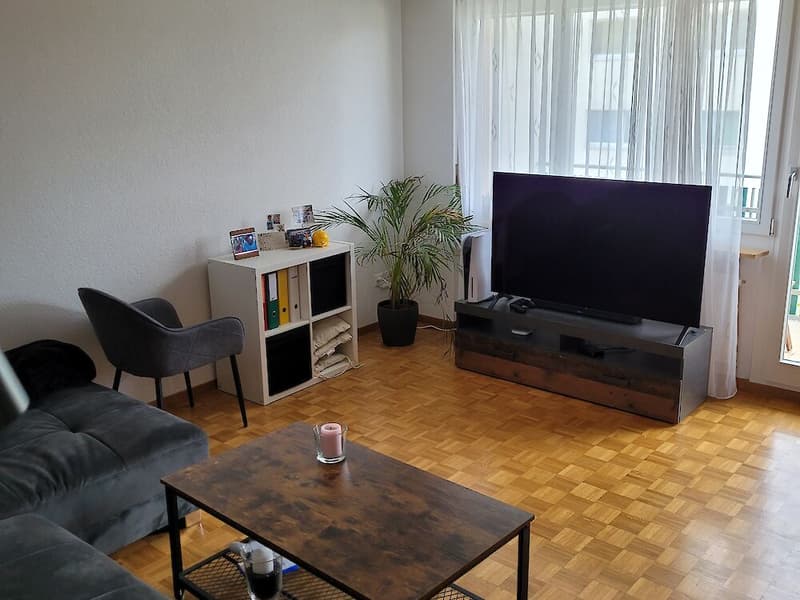 2.5 Zimmerwohnung in Schmitten (1)