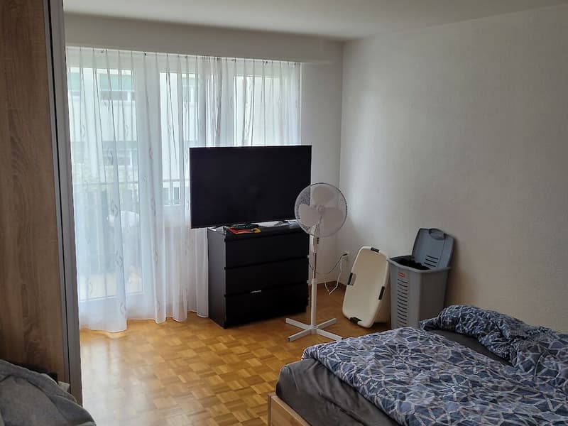 2.5 Zimmerwohnung in Schmitten (2)