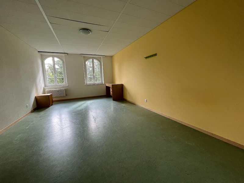 6,5 camere in affitto (10)