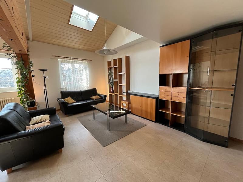 6,5 camere in affitto (4)