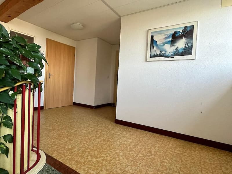 6,5 camere in affitto (3)