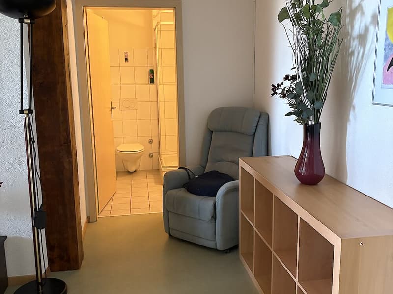 6.5 rooms for rent (10)