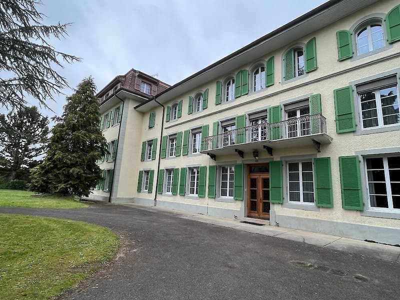 6,5 camere in affitto (1)