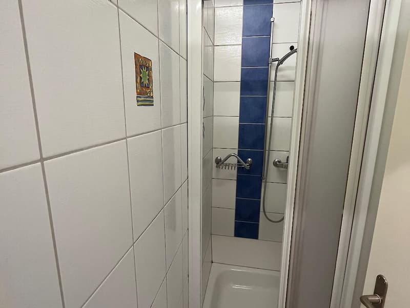 6.5 rooms for rent (8)