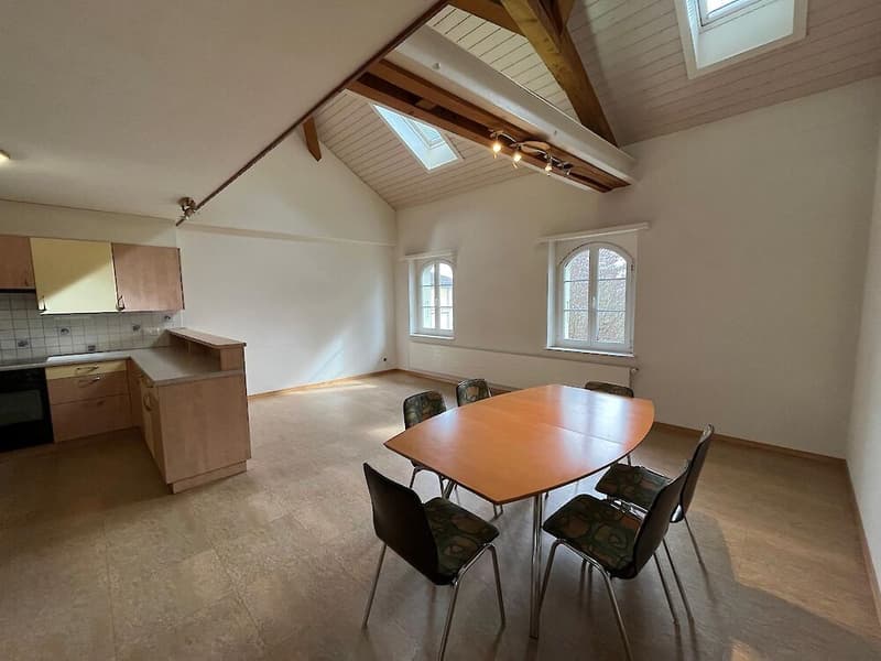 6,5 camere in affitto (9)