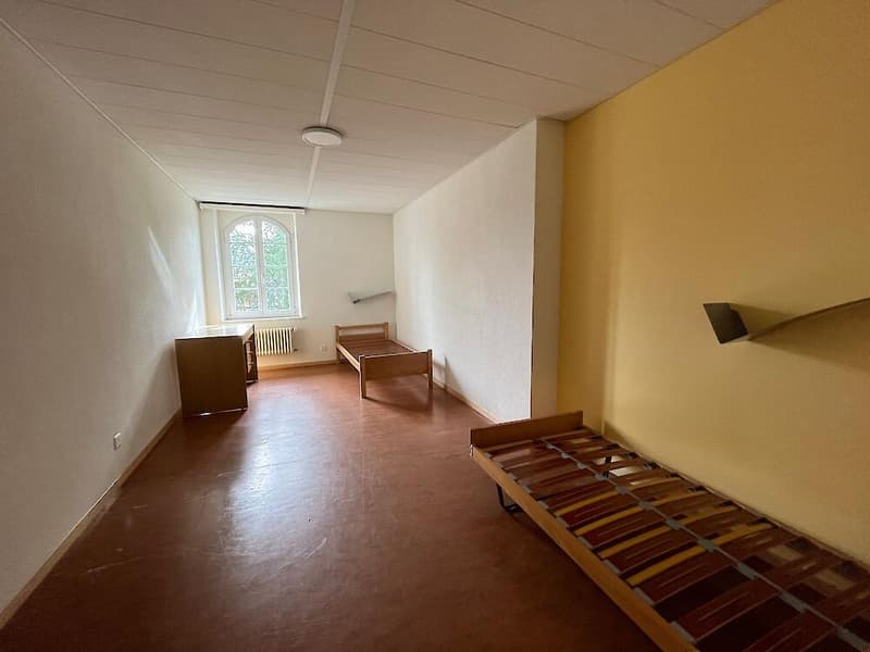 6,5 camere in affitto (11)