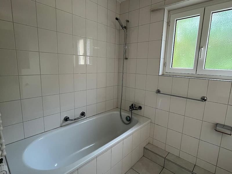 Geräumige 4.5-Zimmerwohnung im 3. Stock (7)