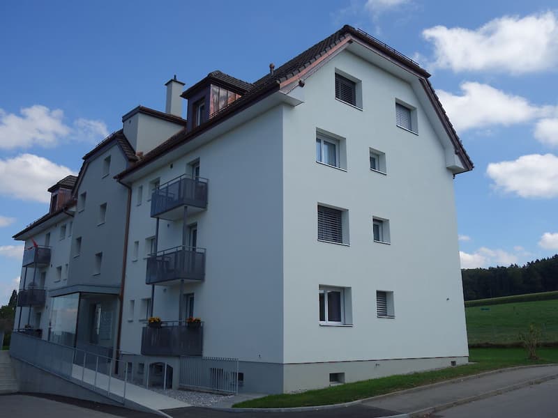 2.5 Zimmerwohnung im 3. Stock (1)