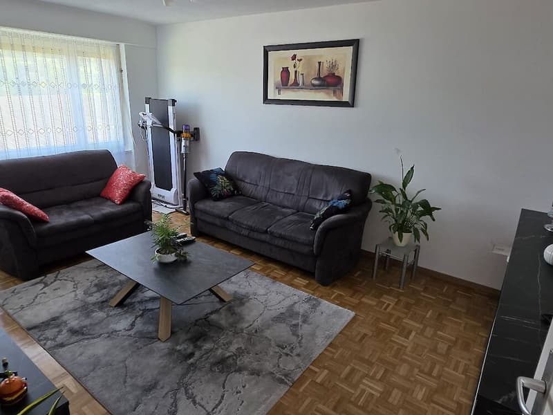 Charmante 3.5-Zimmer (4)
