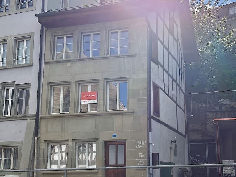Wunderschöne Triplex-Wohnung in der Altstadt von Freiburg (1)