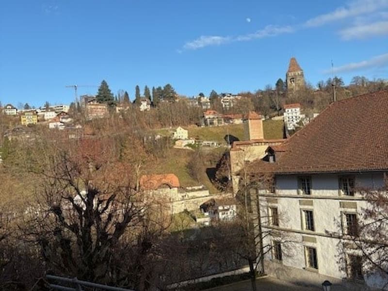 Wunderschöne Triplex-Wohnung in der Altstadt von Freiburg (2)