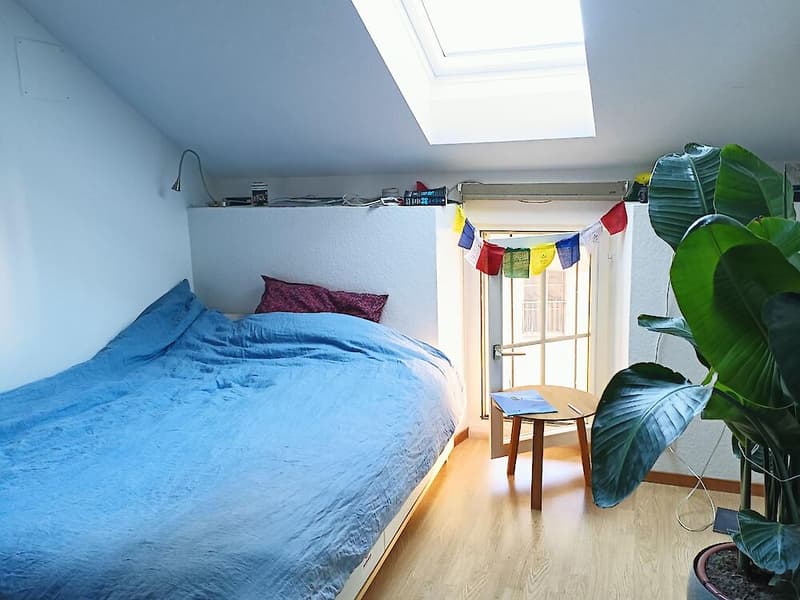 3.5 Zimmerwohnung in der Stadt Freiburg (4)