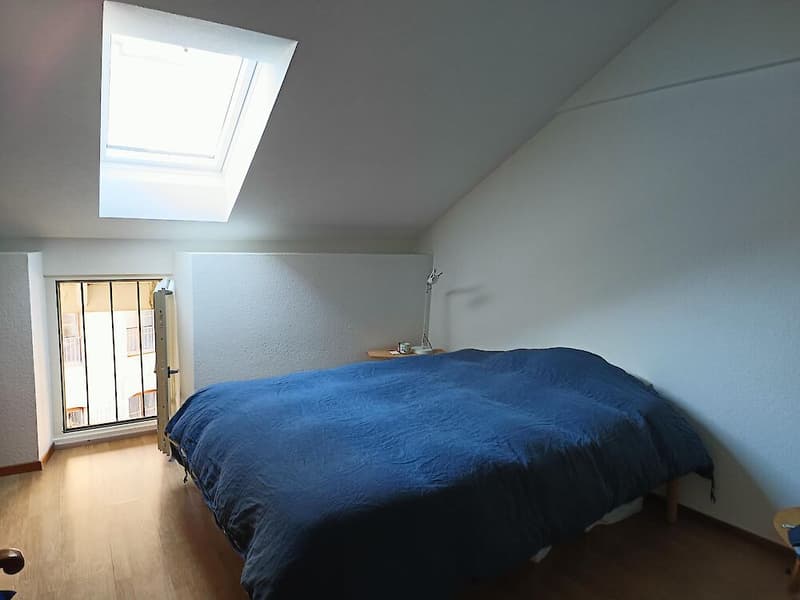 3.5 Zimmerwohnung in der Stadt Freiburg (5)