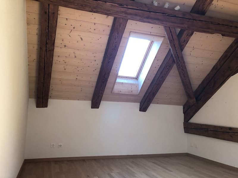Grosse Duplexwohnung in Freiburg (8)