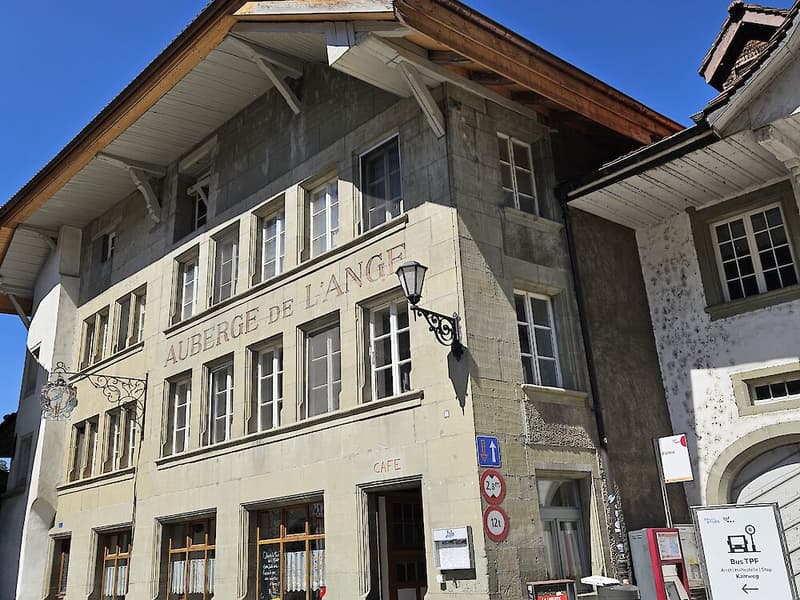 Grosse Duplexwohnung in Freiburg (2)