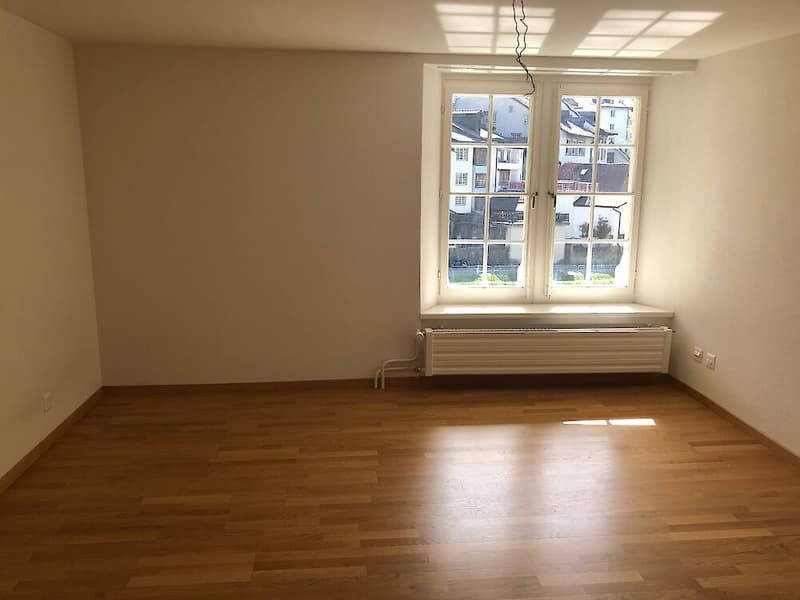 Grosse Duplexwohnung in Freiburg (5)