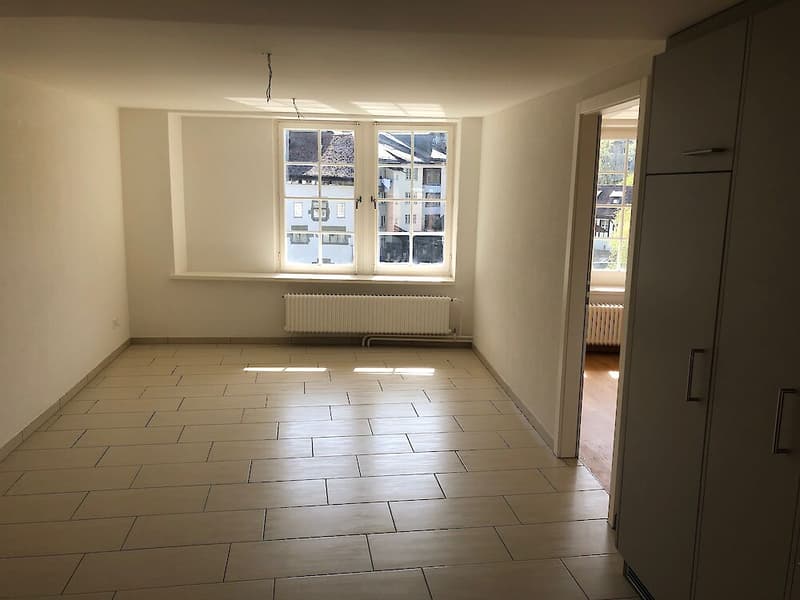 Grosse Duplexwohnung in Freiburg (7)