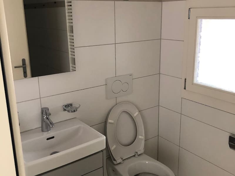Grosse Duplexwohnung in Freiburg (10)