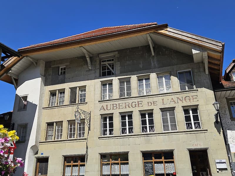 Grosse Duplexwohnung in Freiburg (3)
