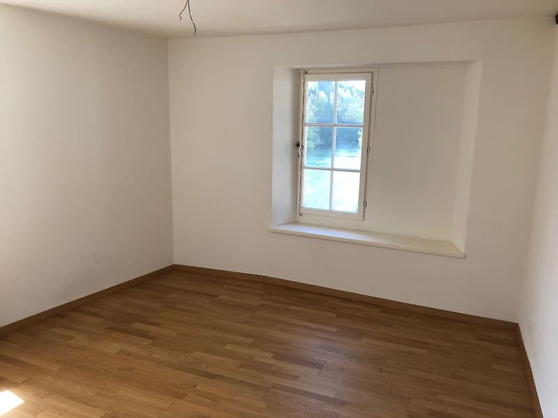 Grosse Duplexwohnung in Freiburg (4)