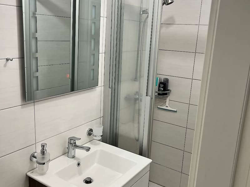 Schöne 2,5-Zimmer-Wohnung in Schmitten (3)