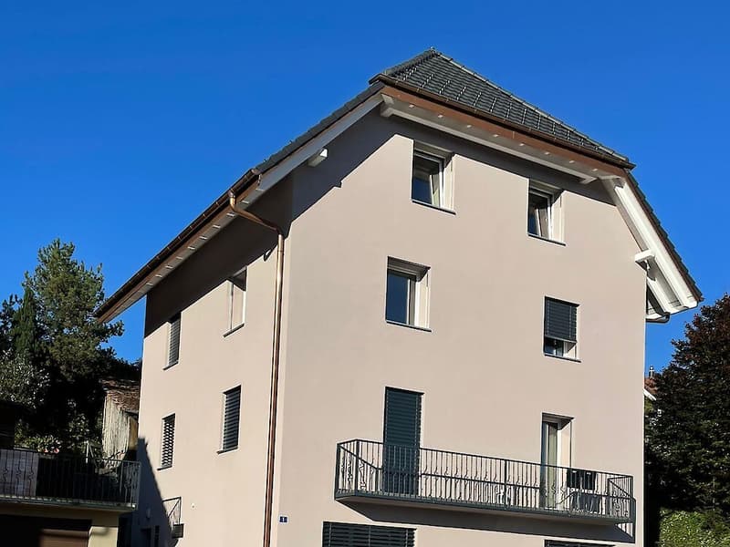 Schöne 2,5-Zimmer-Wohnung in Schmitten (1)