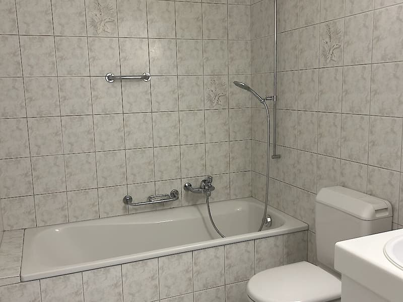 Grosszügige 2.5-Zimmerwohnung in Wünnewil (7)