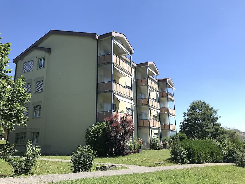 Grosszügige 2.5-Zimmerwohnung in Wünnewil (1)