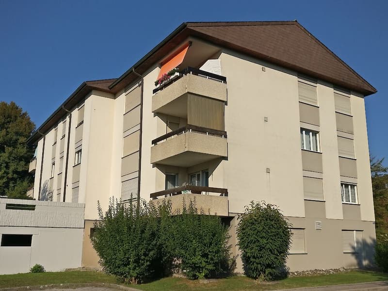Zentral gelegene 3-Zimmerwohnung in Schmitten (1)