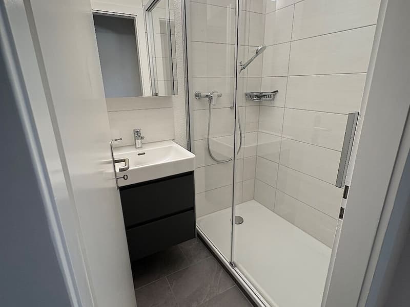 4 Zimmerwohnung in Alterswil (11)